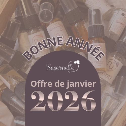 banniere bonne annee